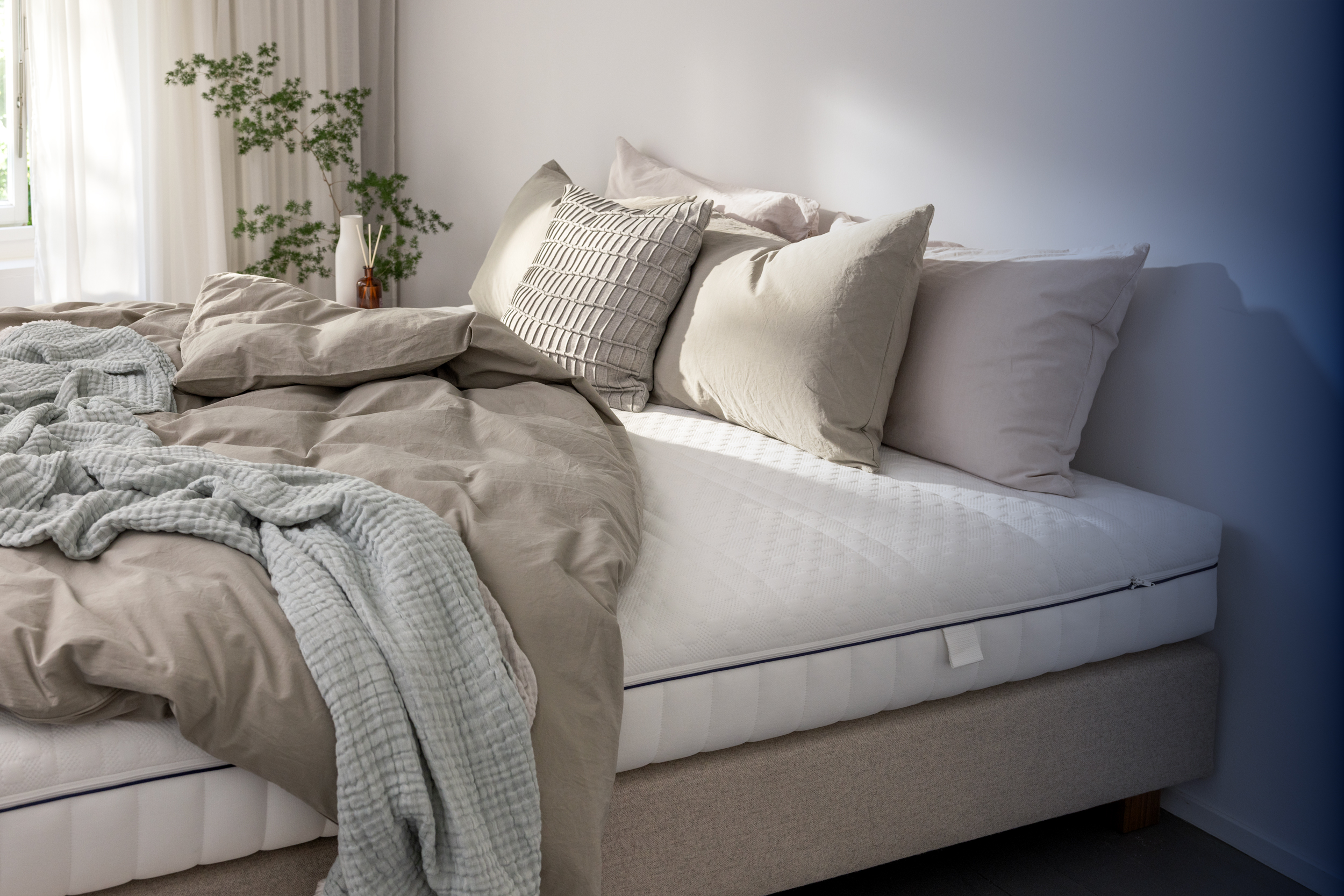 Boutique per la schiena